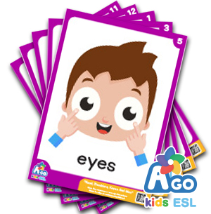 Head Shoulders Knees And Moo - ESL Educational Flashcard Packs