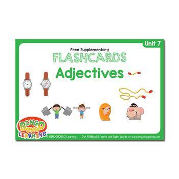Unit 7 flashcards adjectives