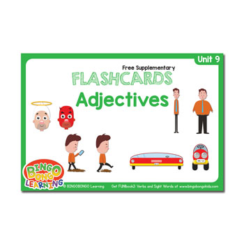 Unit 9 flashcards adjectives