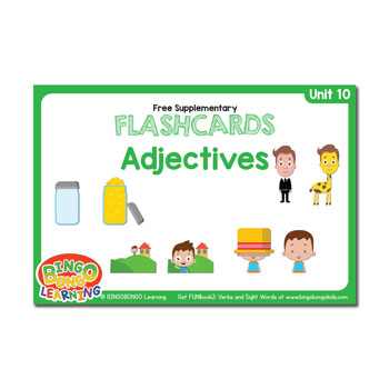 Unit 10 adjective flashcards
