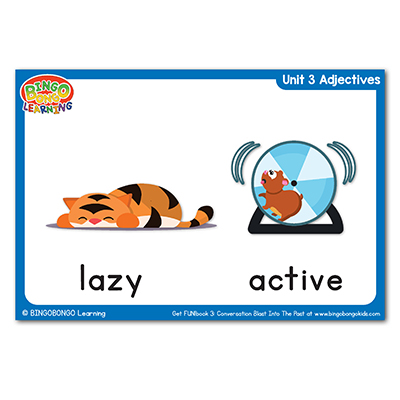 Free Adjectives Flashcards (FUN!book 3) Unit 3 – BINGOBONGO