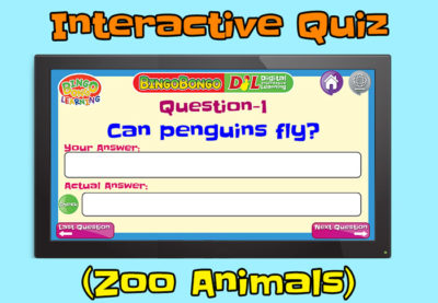 zoo animals quiz