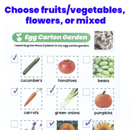 choose your sseeds