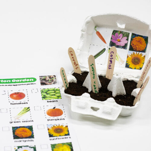 egg carton garden thumb