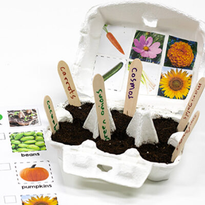 egg carton garden STEAM Craft Kit