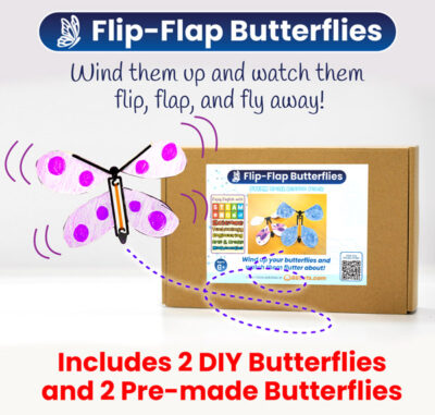 flip flap butterfly box thumb