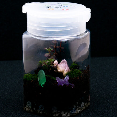 glow and grow terrarium idea