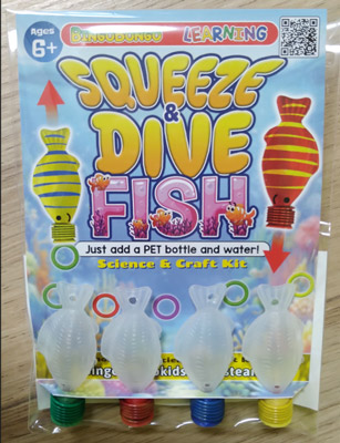 squeeze and dive STEAM cartesian diver